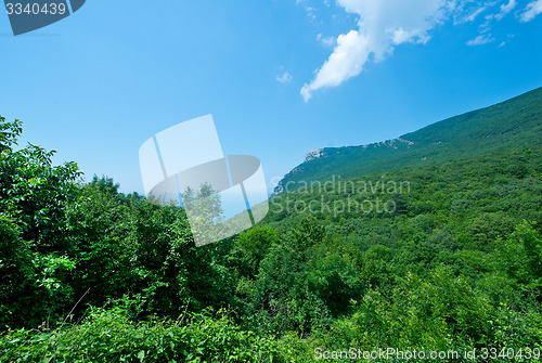 Image of mountain and sky