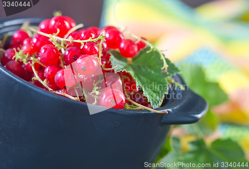 Image of red currant