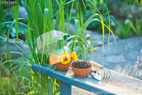 Image of garden tools