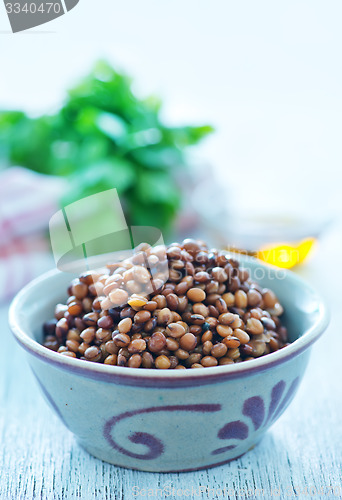 Image of lentil