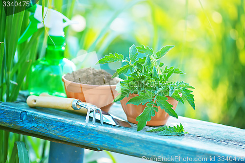 Image of gardening utensil