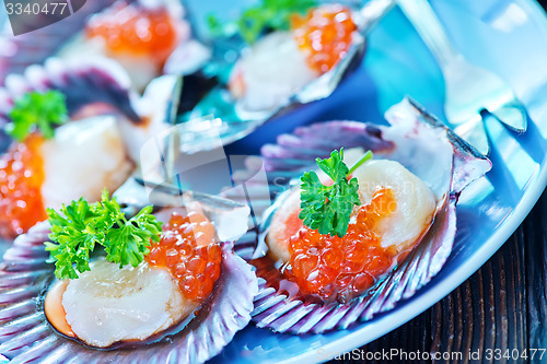 Image of scallop