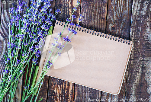 Image of lavender