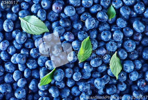 Image of blueberry