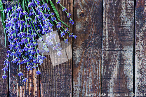 Image of lavender