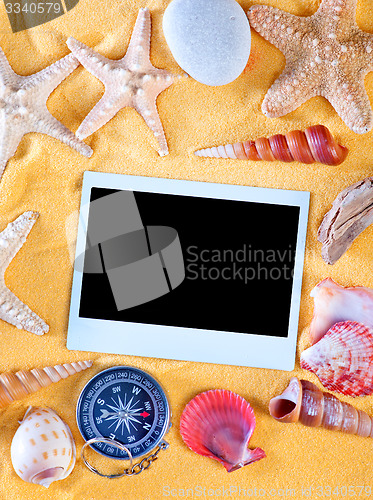 Image of sea shells