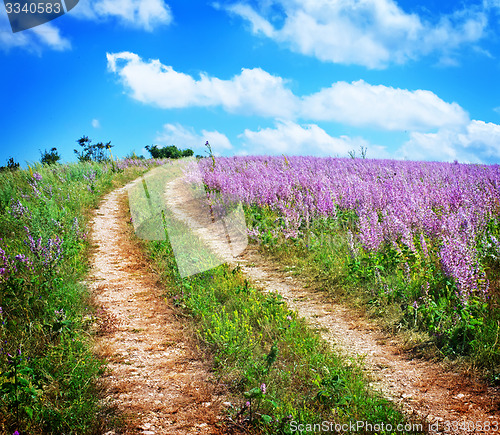 Image of nature in Crimea