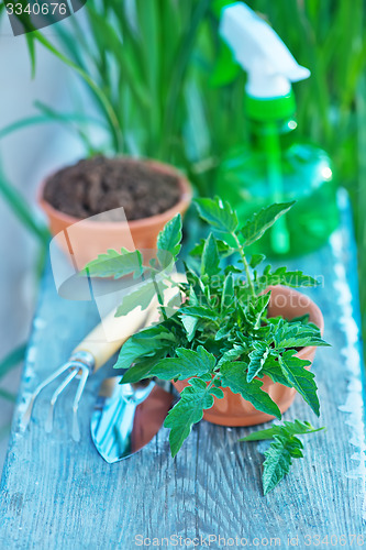 Image of gardening utensil