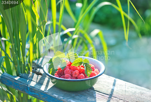 Image of fresh raspberry