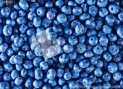 Image of blueberry