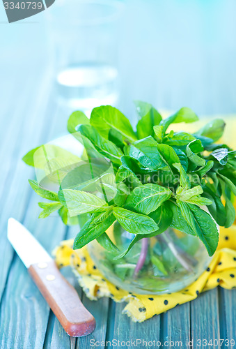 Image of fresh mint