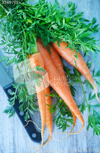 Image of carrot
