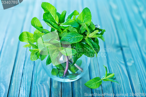 Image of fresh mint