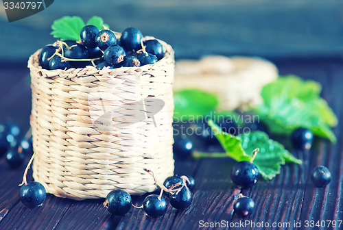 Image of black currant