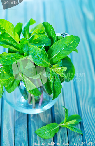 Image of fresh mint