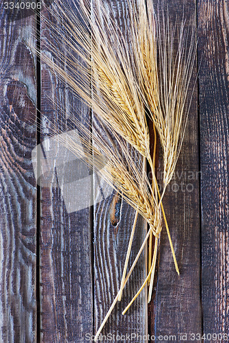 Image of wheat