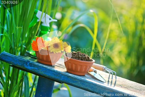 Image of garden tools