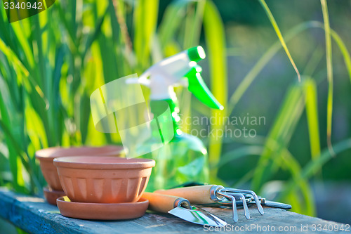 Image of garden tools