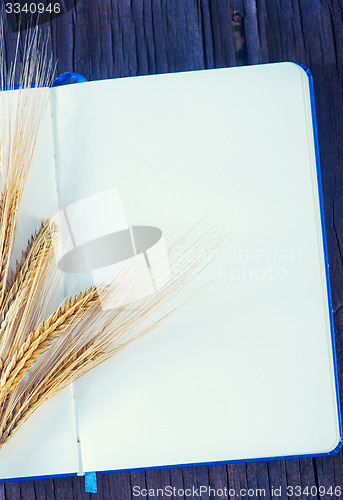 Image of wheat and paper