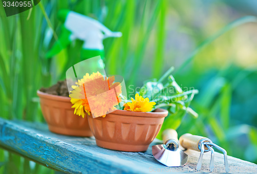 Image of garden tools