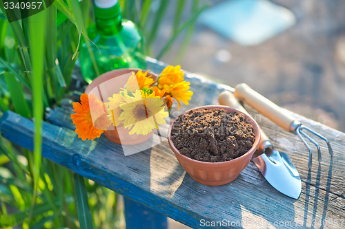 Image of garden tools