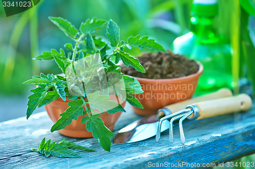 Image of gardening utensil