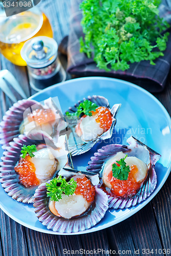 Image of scallop