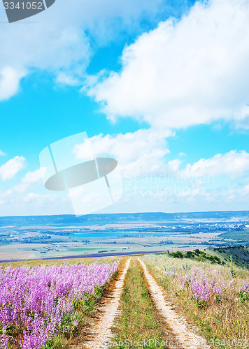 Image of field