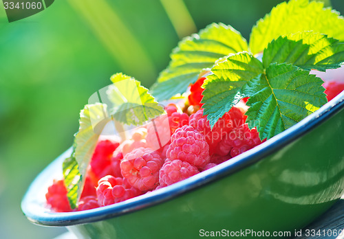 Image of fresh raspberry