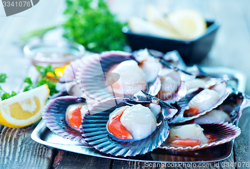 Image of scallop