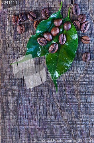 Image of coffee beans