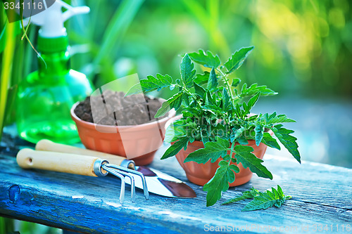 Image of gardening utensil