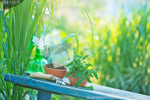 Image of gardening utensil