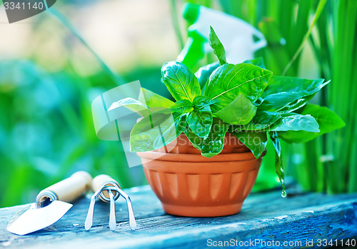 Image of gardening utensil