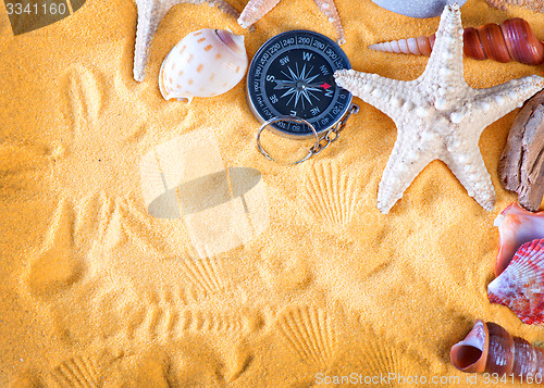 Image of sea shells