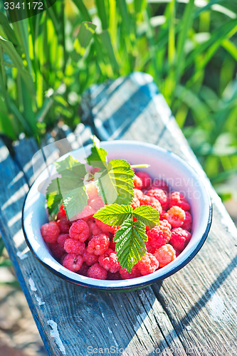 Image of fresh raspberry