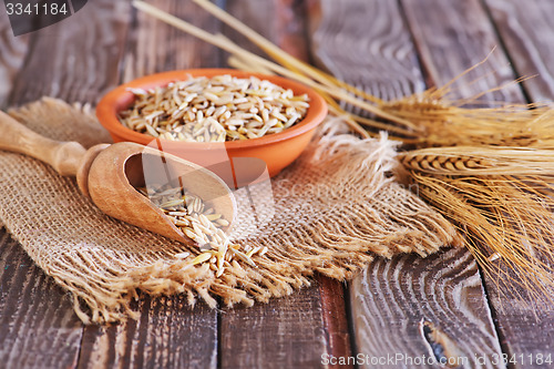 Image of oat grain