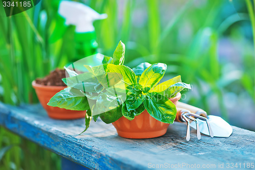 Image of gardening utensil