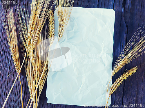 Image of wheat and paper