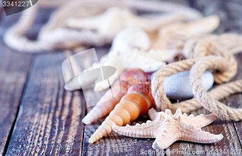 Image of sea shells