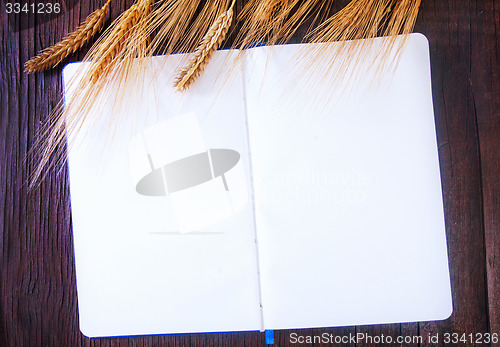 Image of wheat and paper