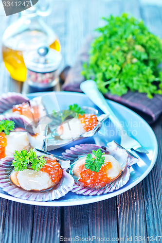 Image of scallop