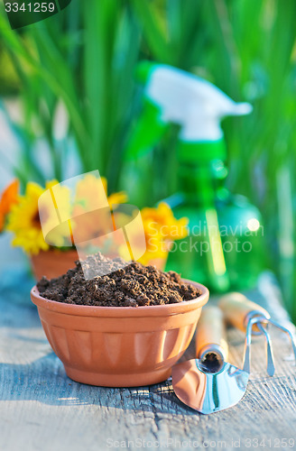 Image of garden tools