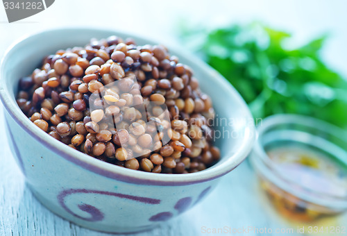 Image of lentil