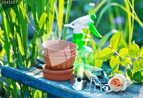 Image of garden tools