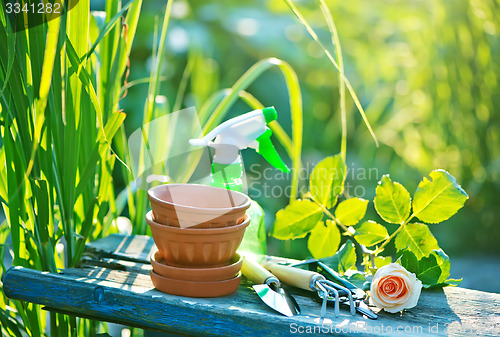 Image of garden tools