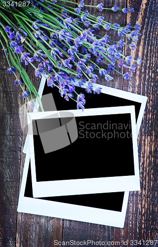 Image of lavender