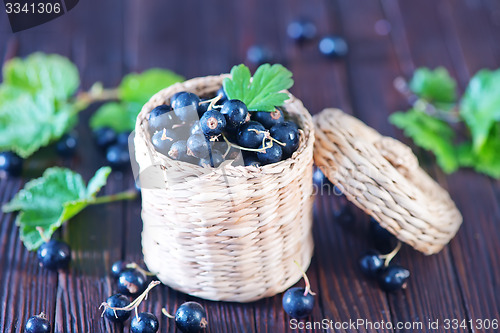 Image of black currant