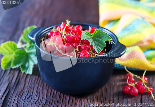 Image of red currant