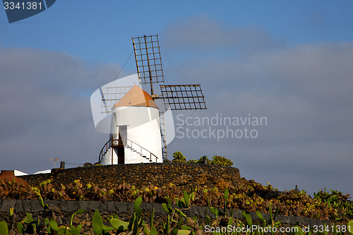 Image of cactus windmills   africa spain   and  sky 